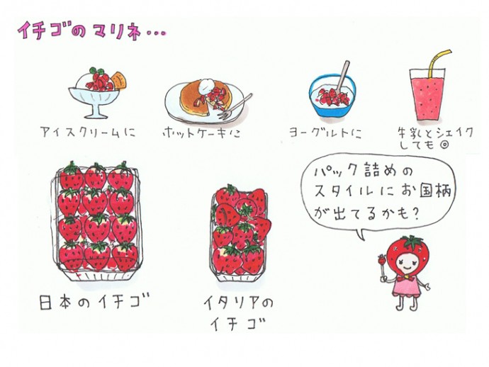 イタリアの毎日のごはん 〜イタリアのイチゴ、日本のイチゴ〜